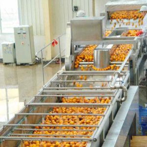 Juice Extractor Machines